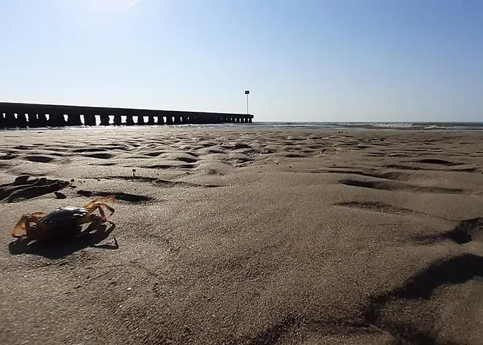 Blu -over The Rainbow - Lido Di Jesolo- Check In Check Out On Saturday דירה *